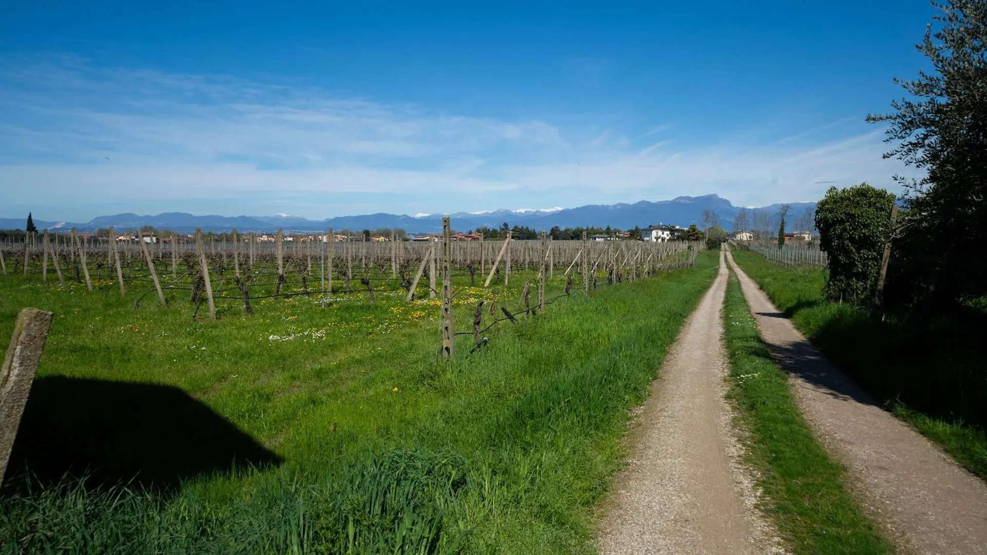 Five Elements Apartments Nature And Relax Near Lake Garda Peschiera del Garda Italie